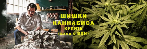 прущие крисы Каменка