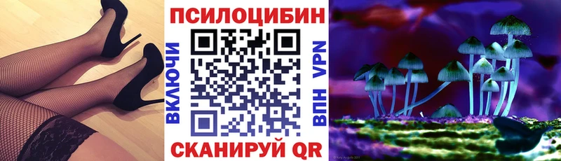 Купить где  Ленск  Галлюциногенные грибы Psilocybe 